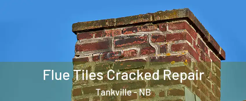  Flue Tiles Cracked Repair Tankville - NB