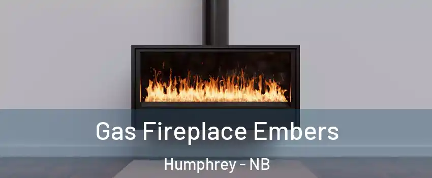  Gas Fireplace Embers Humphrey - NB