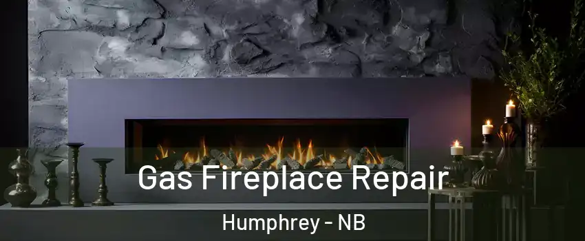  Gas Fireplace Repair Humphrey - NB