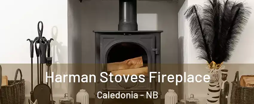  Harman Stoves Fireplace Caledonia - NB