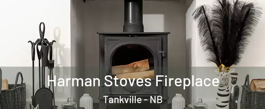  Harman Stoves Fireplace Tankville - NB