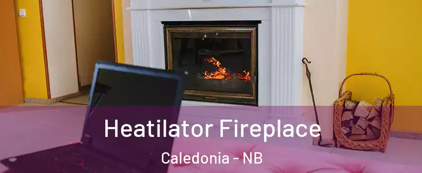  Heatilator Fireplace Caledonia - NB