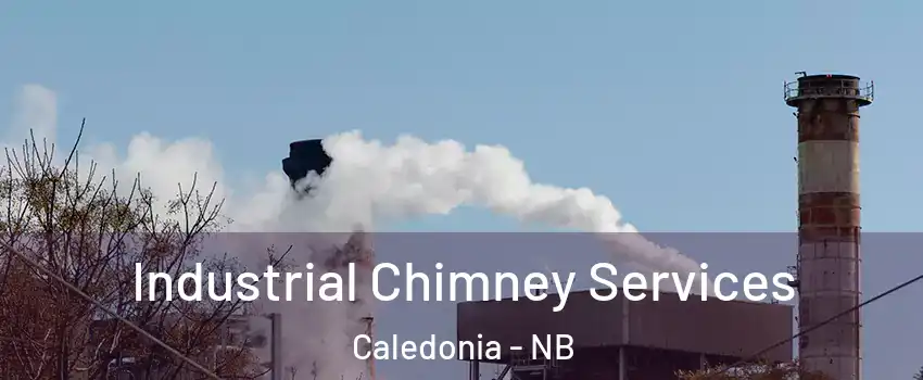  Industrial Chimney Services Caledonia - NB
