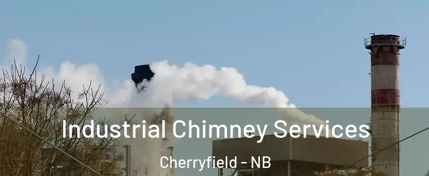  Industrial Chimney Services Cherryfield - NB