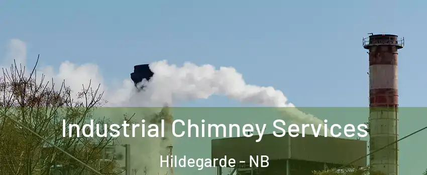  Industrial Chimney Services Hildegarde - NB