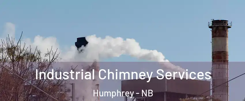  Industrial Chimney Services Humphrey - NB