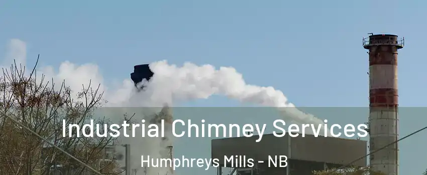  Industrial Chimney Services Humphreys Mills - NB