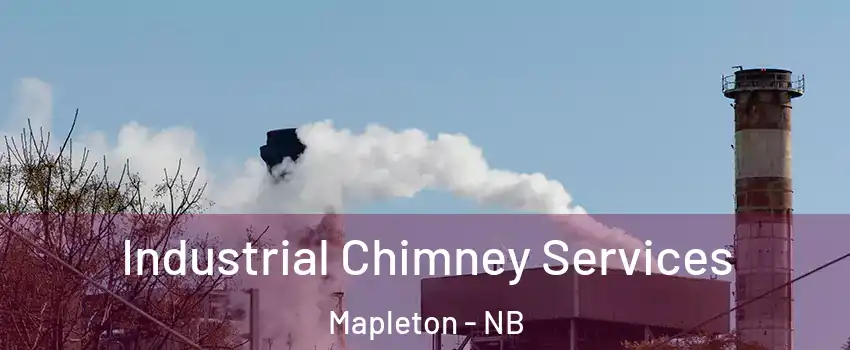  Industrial Chimney Services Mapleton - NB