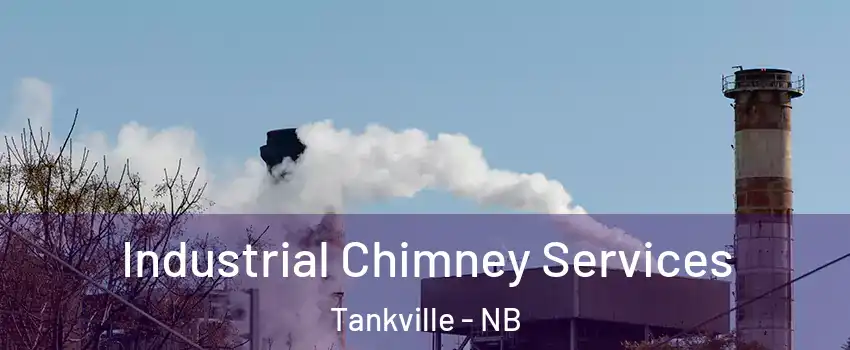 Industrial Chimney Services Tankville - NB