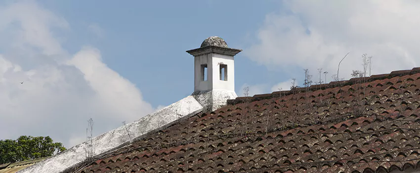 Wind-Resistant Chimney Caps Installation and Repair Services in Moncton, New Brunswick