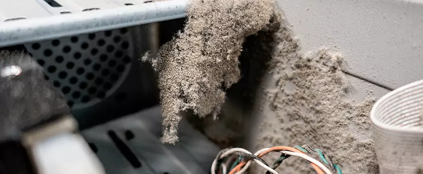 Clogged Dryer Vent Lint Cleaning in Moncton, New Brunswick