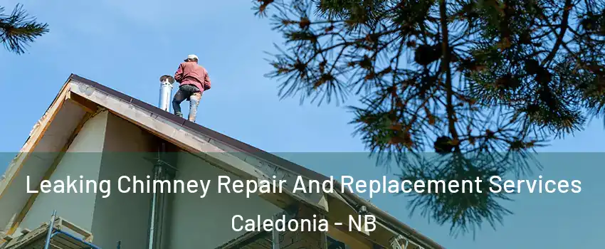 Leaking Chimney Repair And Replacement Services Caledonia - NB