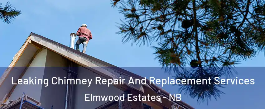  Leaking Chimney Repair And Replacement Services Elmwood Estates - NB