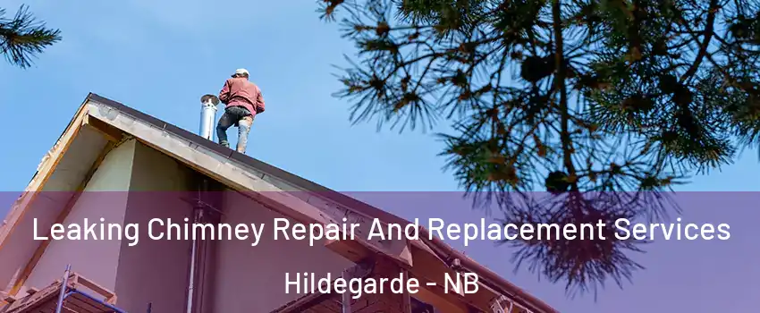 Leaking Chimney Repair And Replacement Services Hildegarde - NB