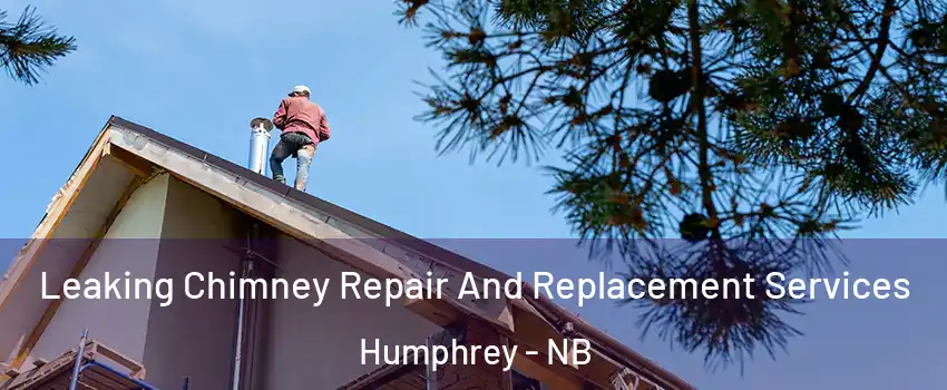  Leaking Chimney Repair And Replacement Services Humphrey - NB