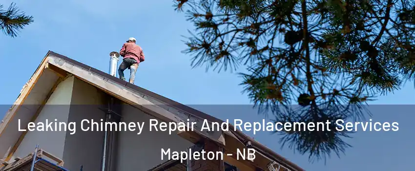  Leaking Chimney Repair And Replacement Services Mapleton - NB