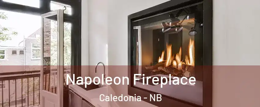  Napoleon Fireplace Caledonia - NB