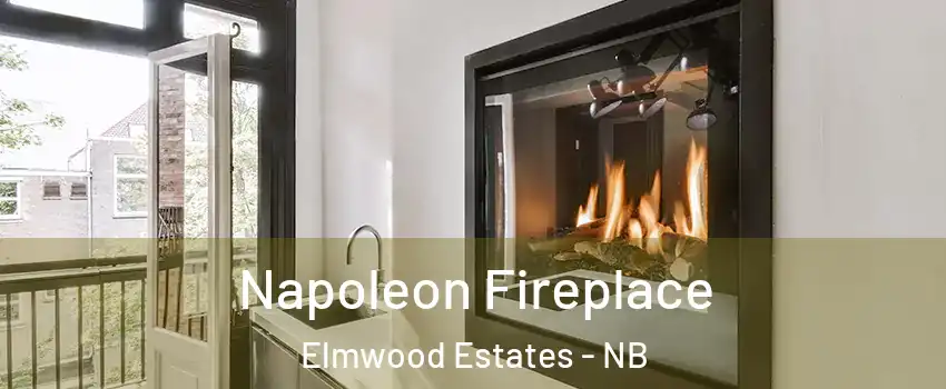  Napoleon Fireplace Elmwood Estates - NB