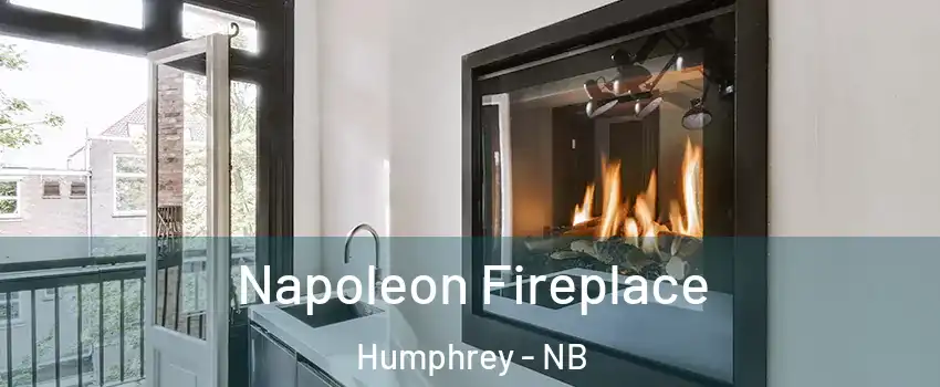  Napoleon Fireplace Humphrey - NB