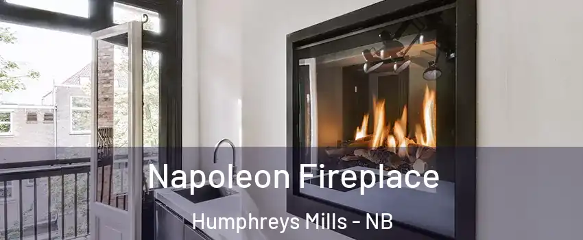 Napoleon Fireplace Humphreys Mills - NB