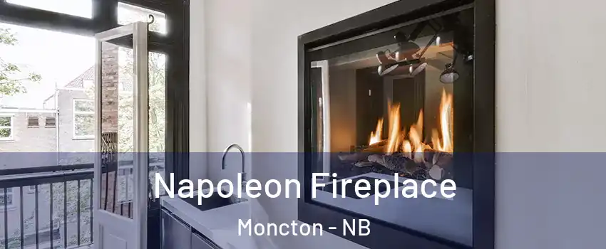  Napoleon Fireplace Moncton - NB