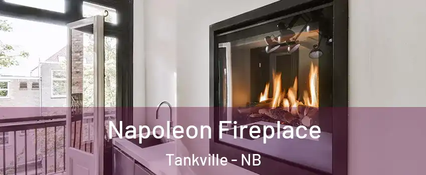  Napoleon Fireplace Tankville - NB