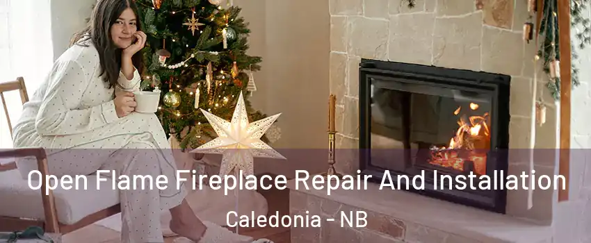  Open Flame Fireplace Repair And Installation Caledonia - NB