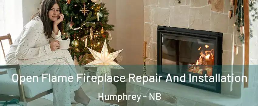  Open Flame Fireplace Repair And Installation Humphrey - NB