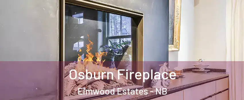  Osburn Fireplace Elmwood Estates - NB