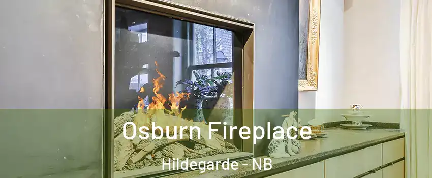  Osburn Fireplace Hildegarde - NB