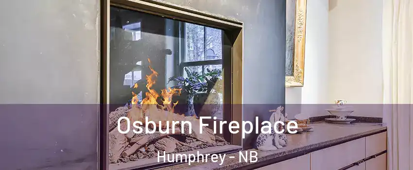  Osburn Fireplace Humphrey - NB
