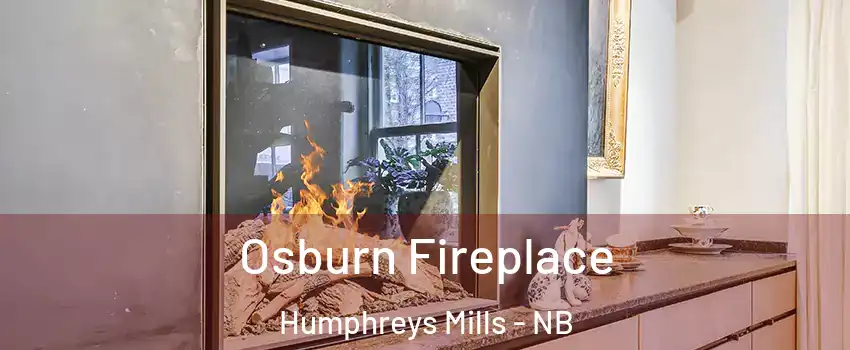  Osburn Fireplace Humphreys Mills - NB