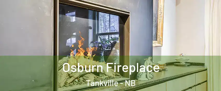  Osburn Fireplace Tankville - NB