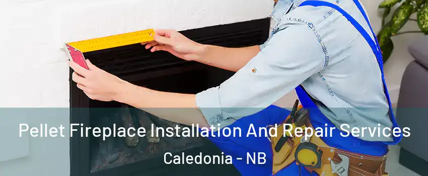  Pellet Fireplace Installation And Repair Services Caledonia - NB