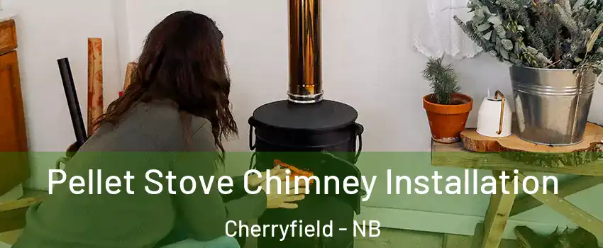  Pellet Stove Chimney Installation Cherryfield - NB