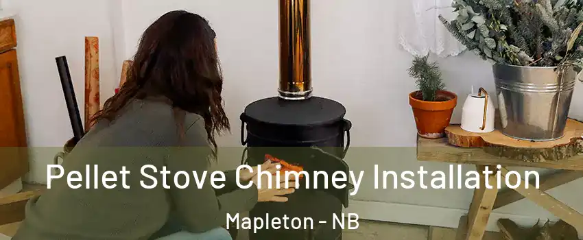  Pellet Stove Chimney Installation Mapleton - NB