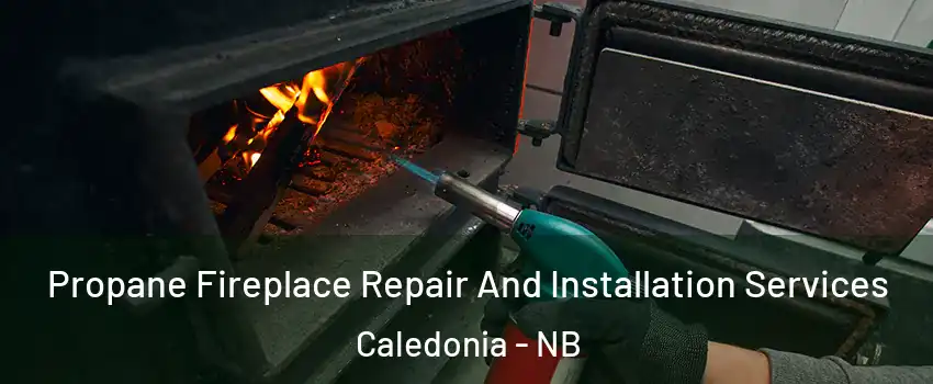 Propane Fireplace Repair And Installation Services Caledonia - NB