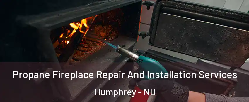  Propane Fireplace Repair And Installation Services Humphrey - NB