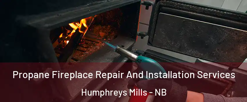 Propane Fireplace Repair And Installation Services Humphreys Mills - NB