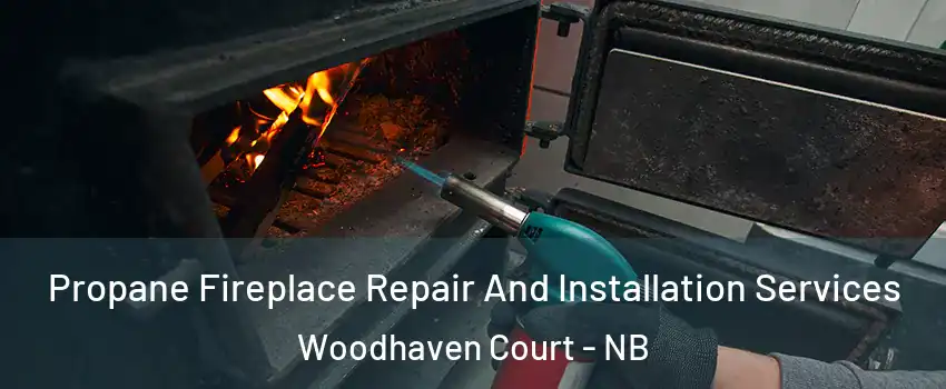 Propane Fireplace Repair And Installation Services Woodhaven Court - NB