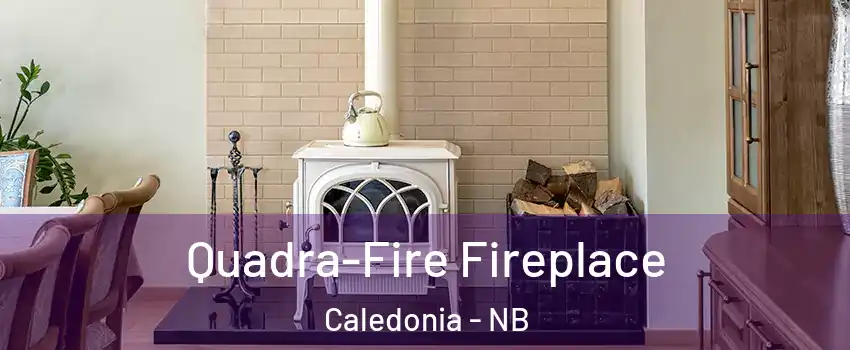  Quadra-Fire Fireplace Caledonia - NB