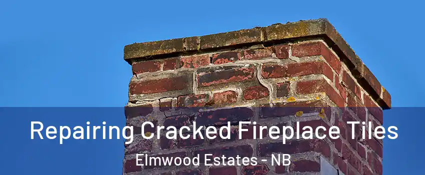  Repairing Cracked Fireplace Tiles Elmwood Estates - NB