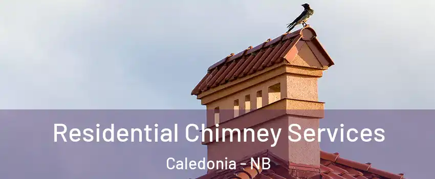  Residential Chimney Services Caledonia - NB