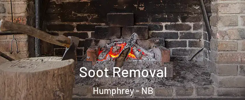  Soot Removal Humphrey - NB