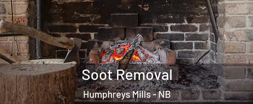  Soot Removal Humphreys Mills - NB