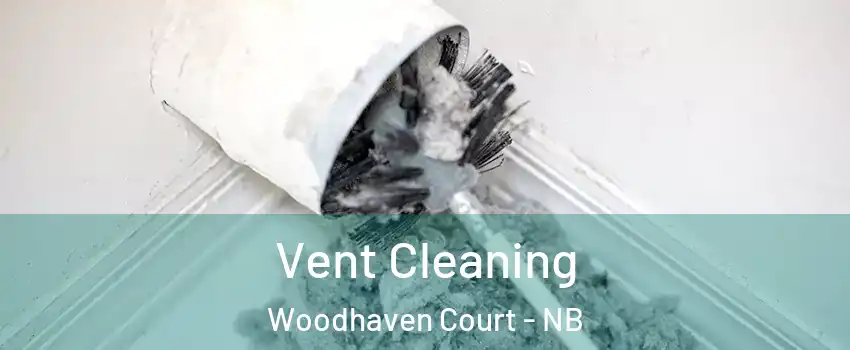  Vent Cleaning Woodhaven Court - NB