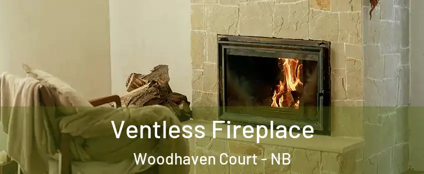  Ventless Fireplace Woodhaven Court - NB