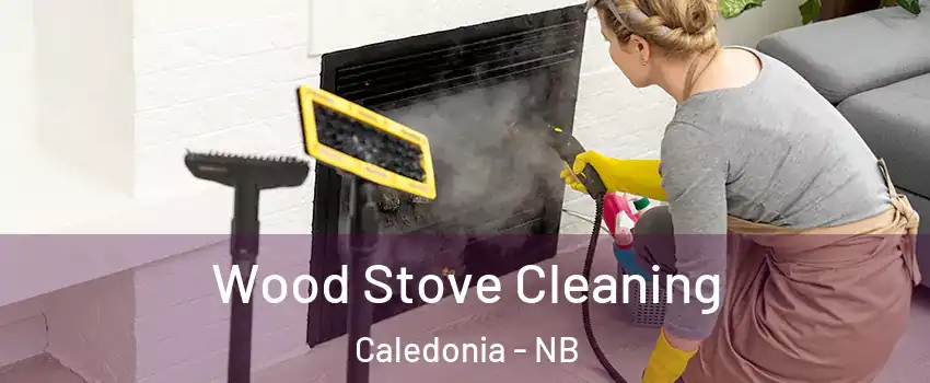  Wood Stove Cleaning Caledonia - NB