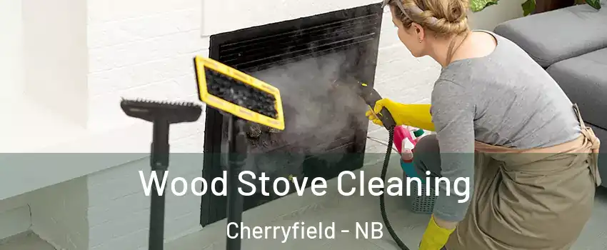  Wood Stove Cleaning Cherryfield - NB