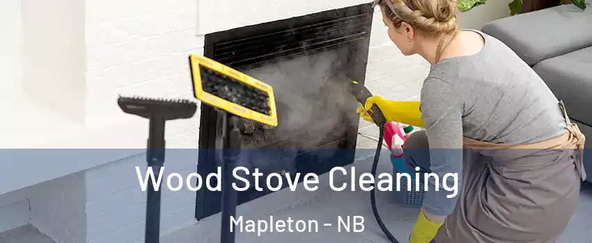  Wood Stove Cleaning Mapleton - NB